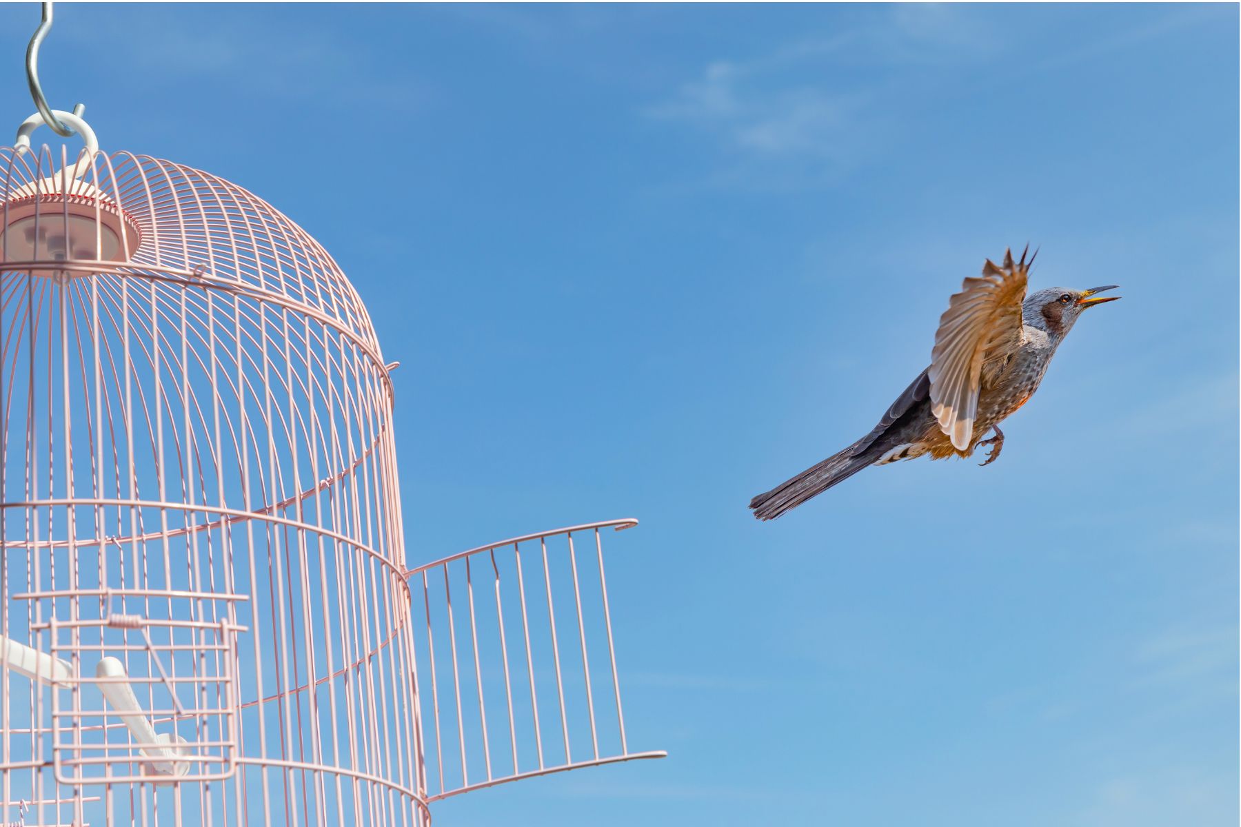 Para salir de la vergüenza y condenación